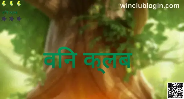 Win Club Review India - Safety Guide & Analysis 2025